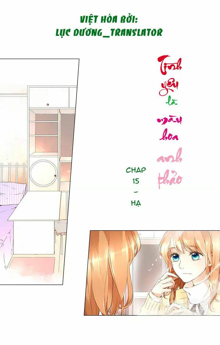 Tình Yêu Là Màu Hoa Anh Thảo: Chapter 15.2