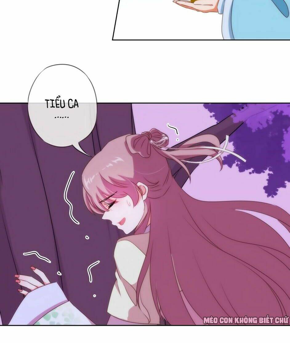 Ồ, Sủng Phi Đại Nhân Của Ta: Chapter 7
