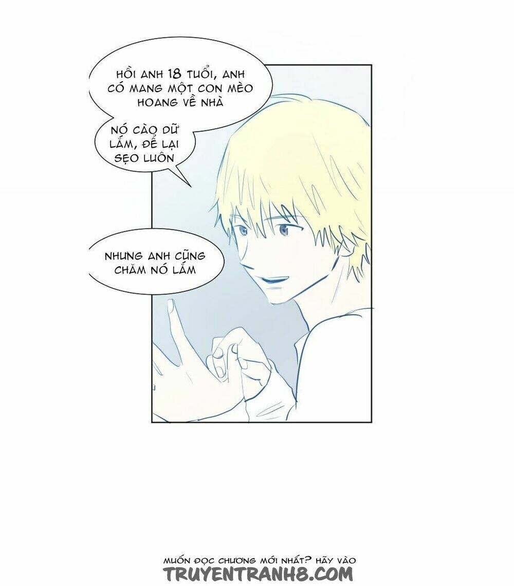 Transparent Cohabitation: Chapter 40