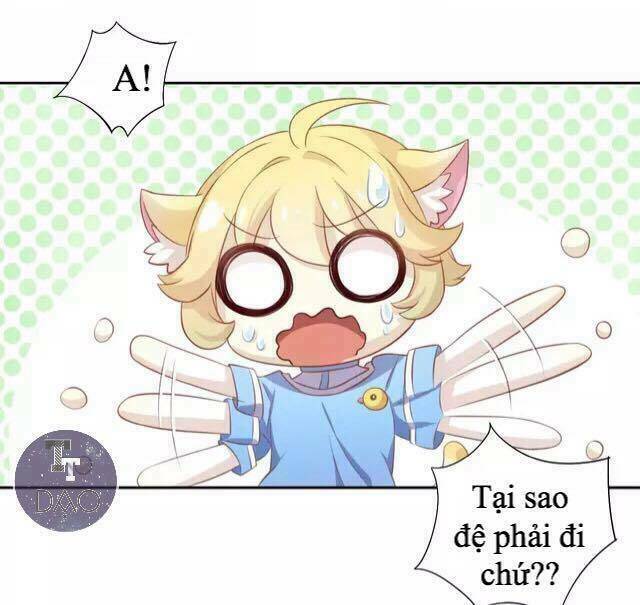 Dưới Móng Vuốt Mèo: Chapter 13