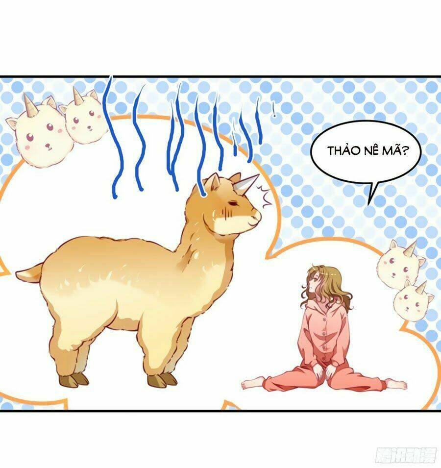 Tiểu Hoàng Thư Và Tiểu Hoàng Thúc: Chapter 1