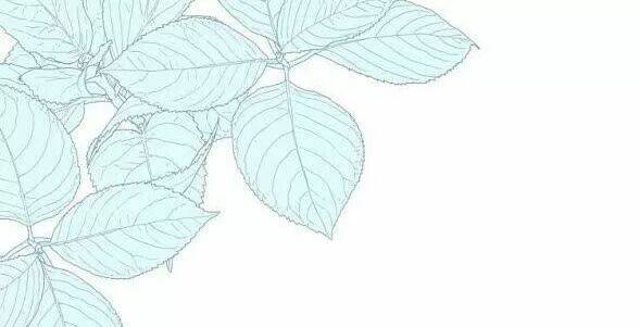 Vấp Phải Nghịch Quang: Chapter 37