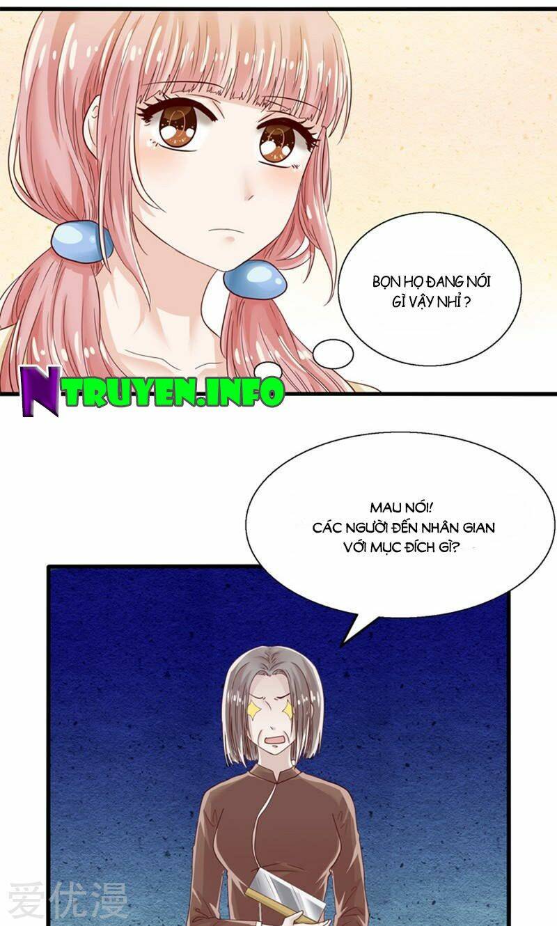 Tôi Bị Gấu Trúc Nhìn Trúng Rồi: Chapter 15