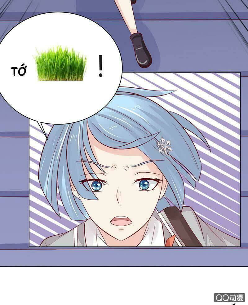 Băng Sơn Học Trưởng Không Được Chọc: Chapter 43.2