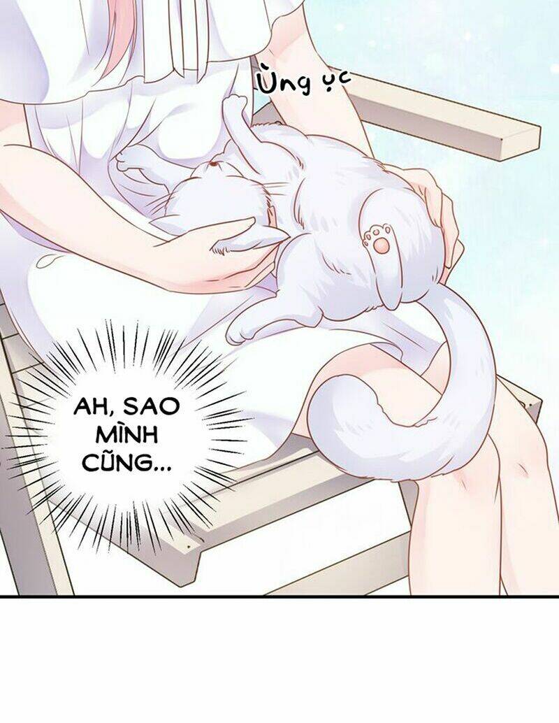 Mật Thất Khốn Du Ngư: Chapter 5