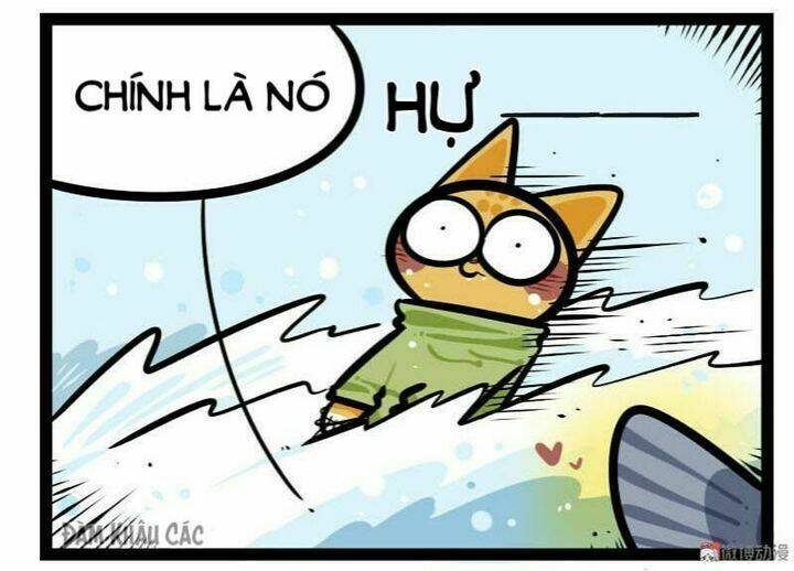 Đời Không Như Mình Tưởng: Chapter 56