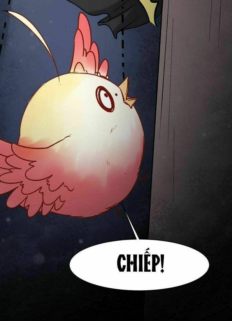 Thịnh Sủng Kiều Nữ Trở Về Triều Ca: Chapter 20