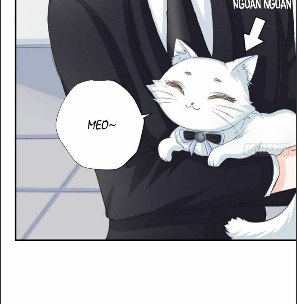 Cẩm Lý Thiếu Nữ Của Tôi: Chapter 6.1