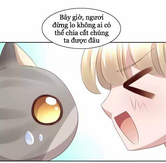 Dưới Móng Vuốt Mèo: Chapter 20