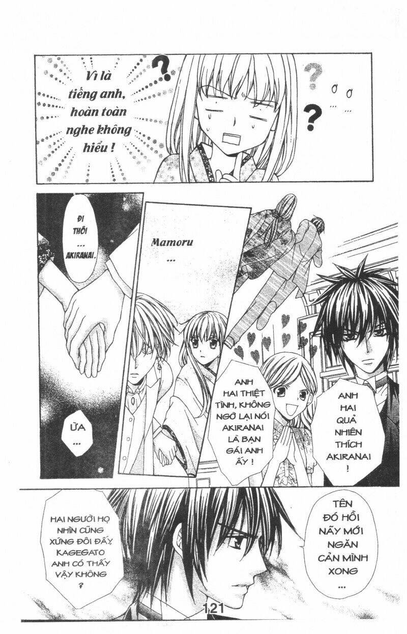 Trái Tim Kim Cương: Chapter 1