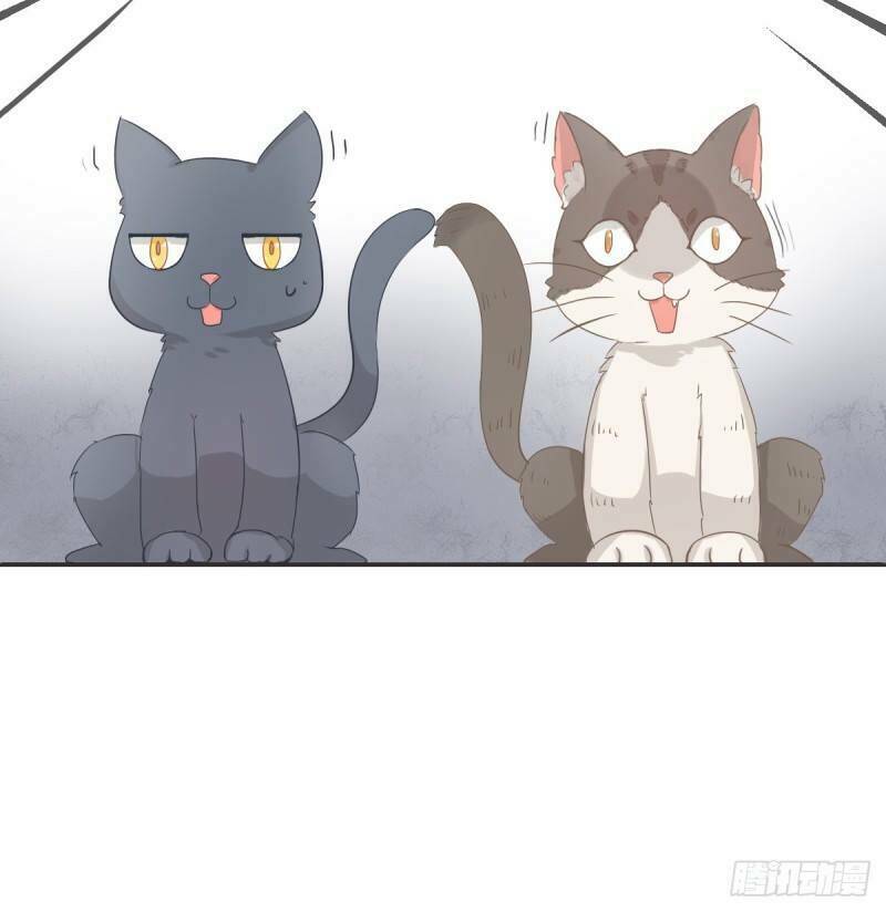 Thịnh Thế Lê Hoa Điện: Chapter 1