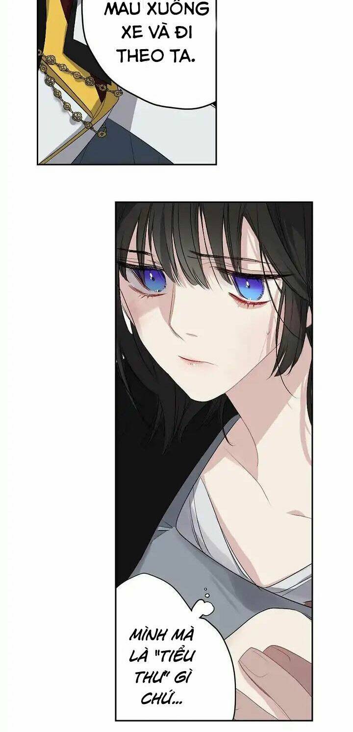 Tình Điên Dại: Chapter 6