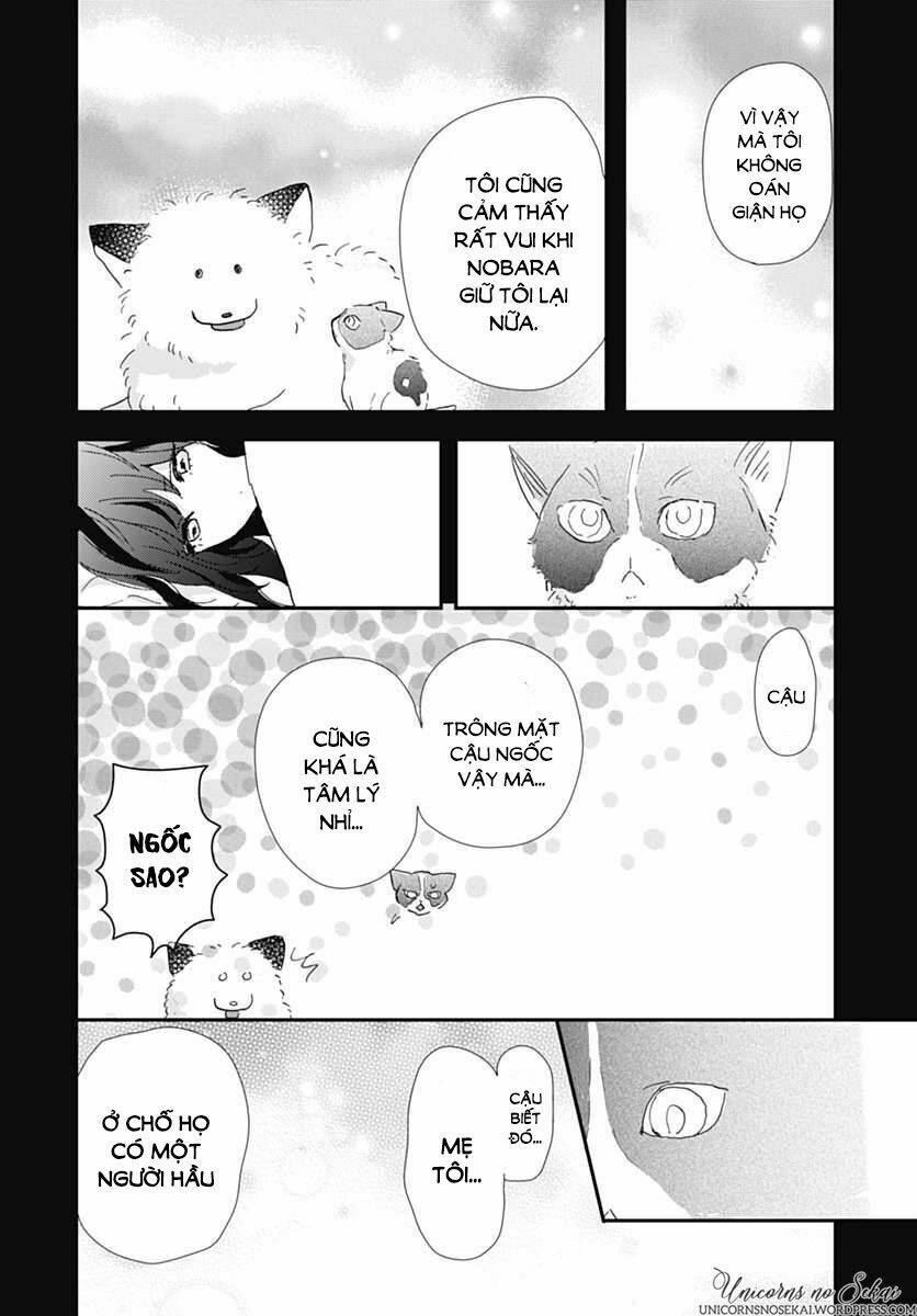 Kimi To Wonderland: Chapter 5