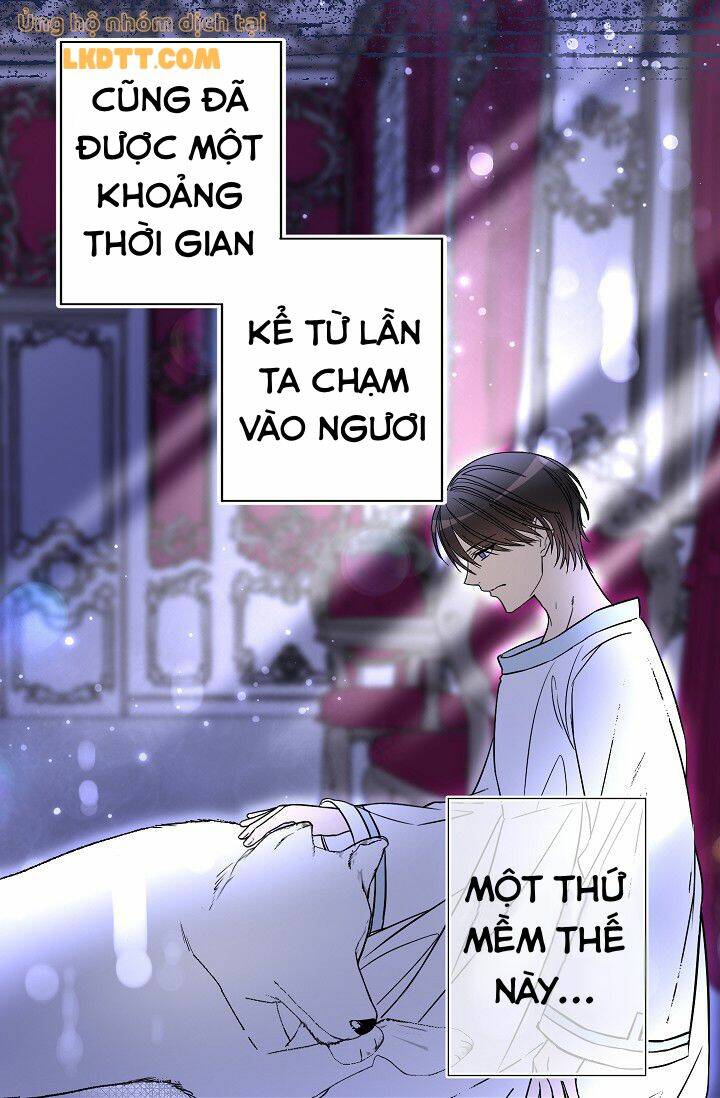 Mylord, Nữ Hoàng Của Loài Sói!: Chapter 16