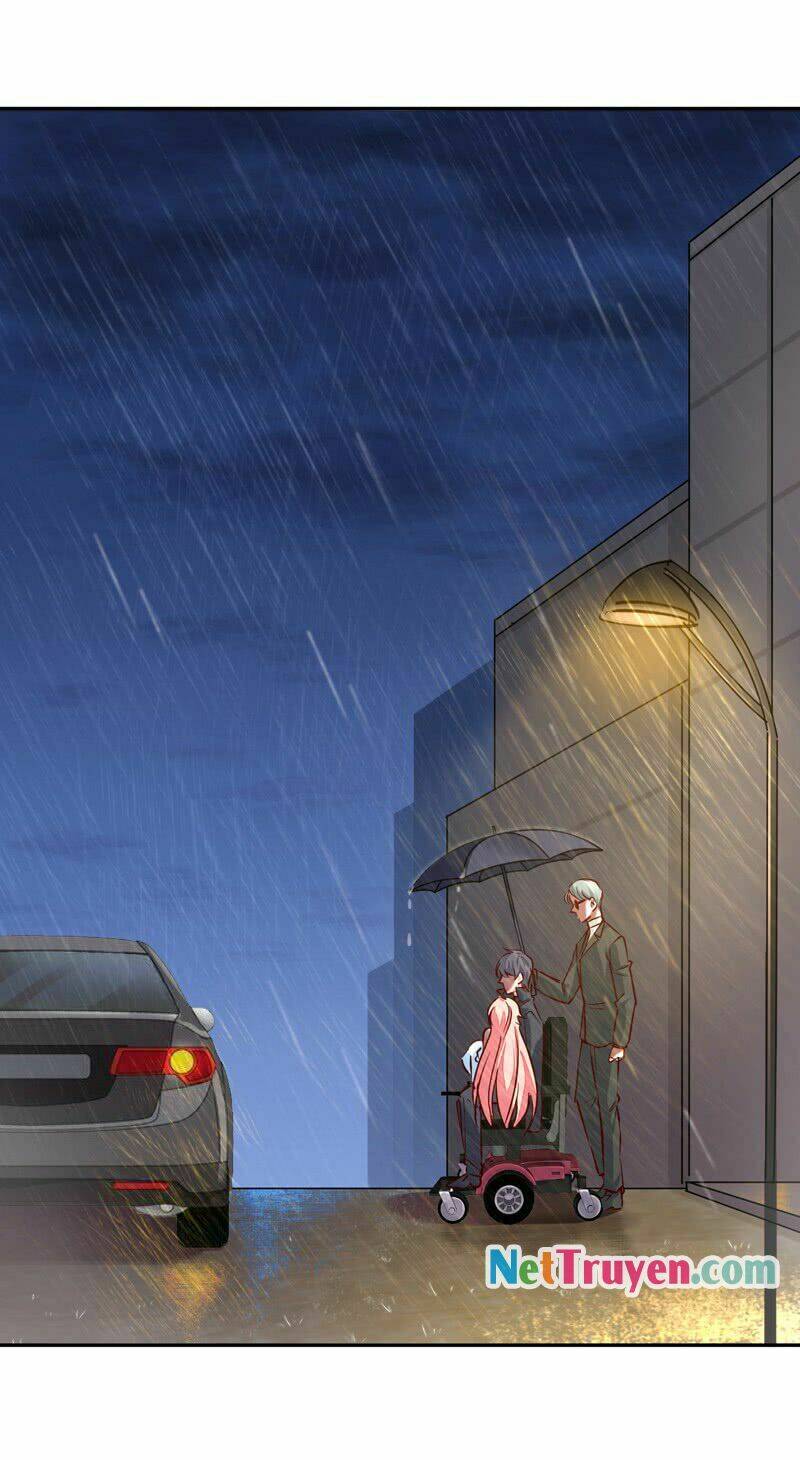 Danh Môn Lược Hôn: Cố Thiếu Nhĩ Câu Liễu: Chapter 8