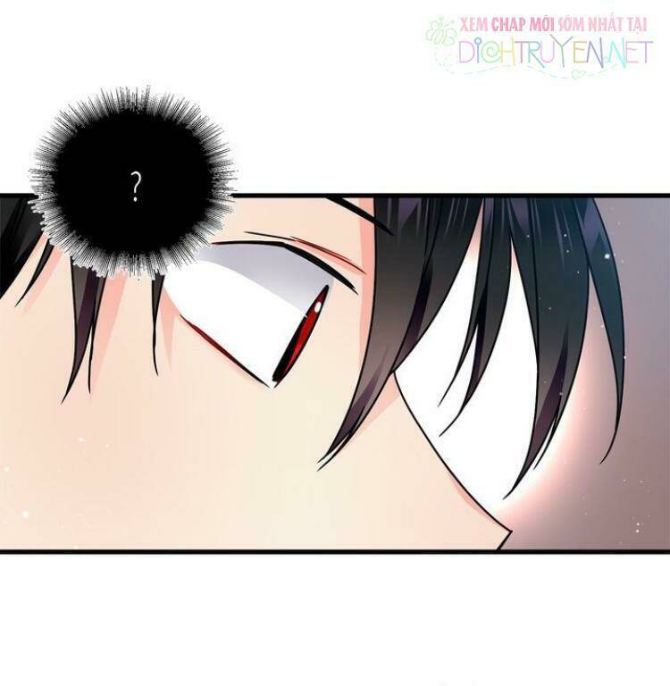 Vị Quản Gia Của Tiểu Thư: Chapter 2