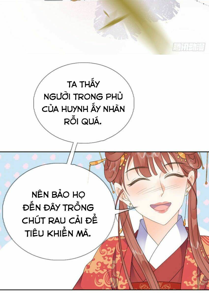 Tang Lạc Túy Tại Nam Phong Lý: Chapter 36