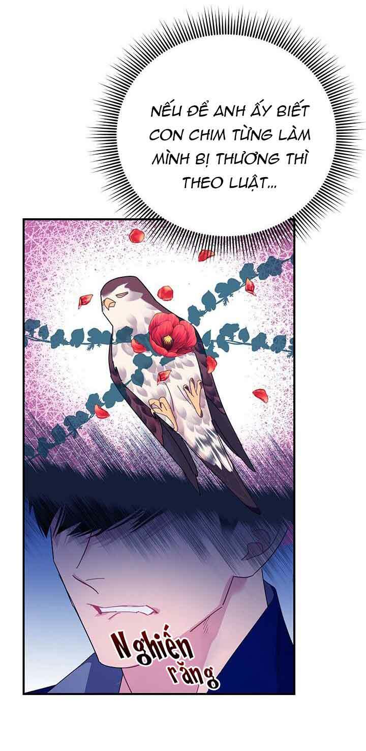 Công Chúa Của Loài Chim: Chapter 42.2