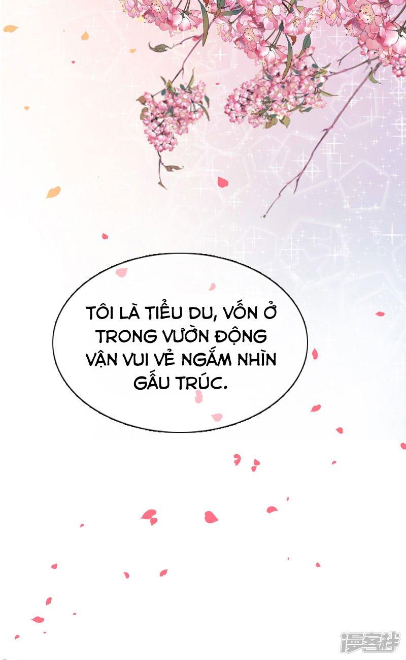 Xuyên Về Cổ Đại Làm Quốc Bảo: Chapter 0