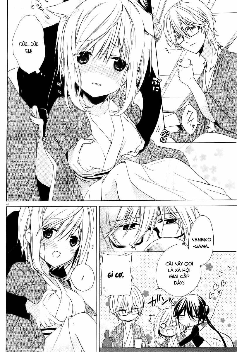 Kudamimi No Neko: Chapter 2