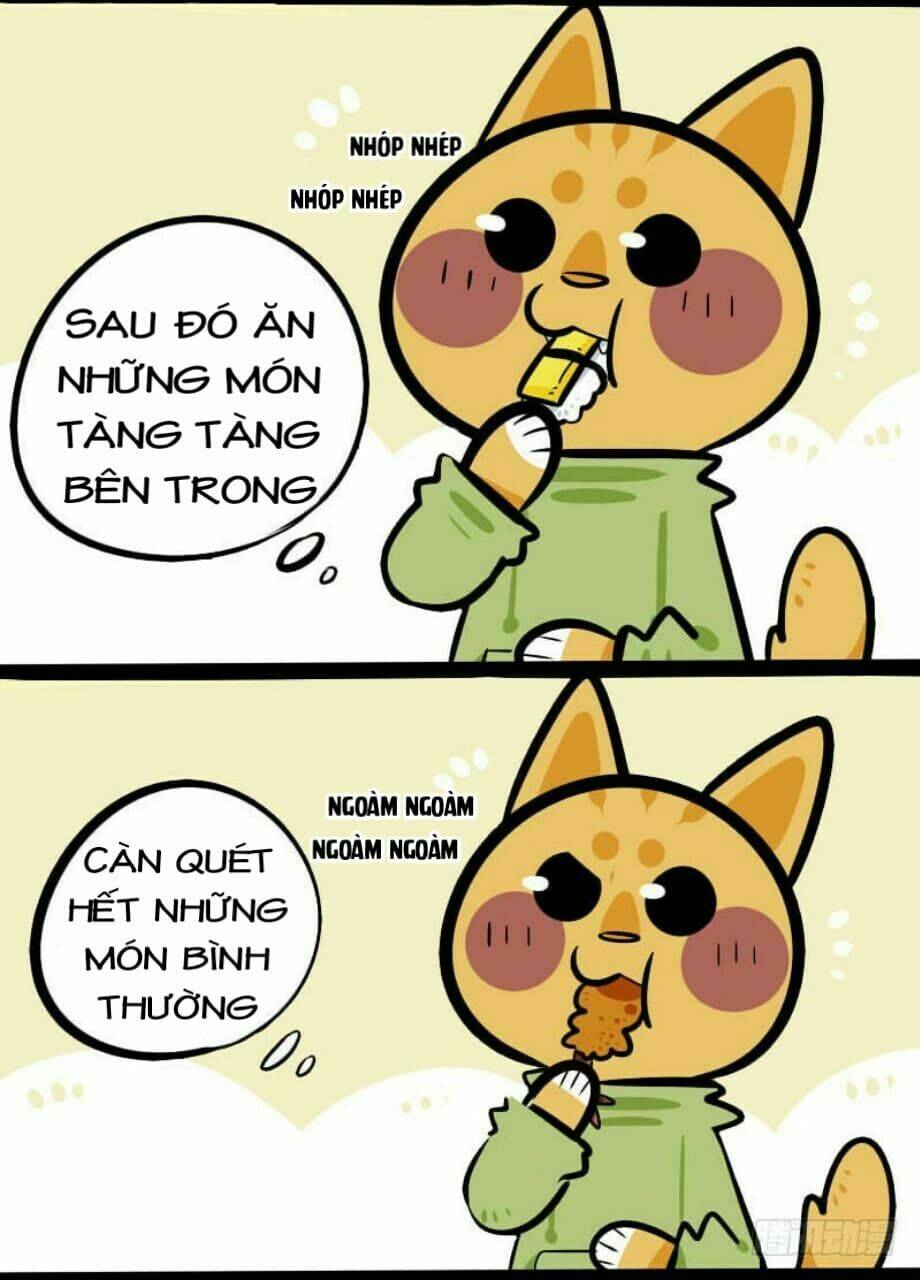 Đời Không Như Mình Tưởng: Chapter 3