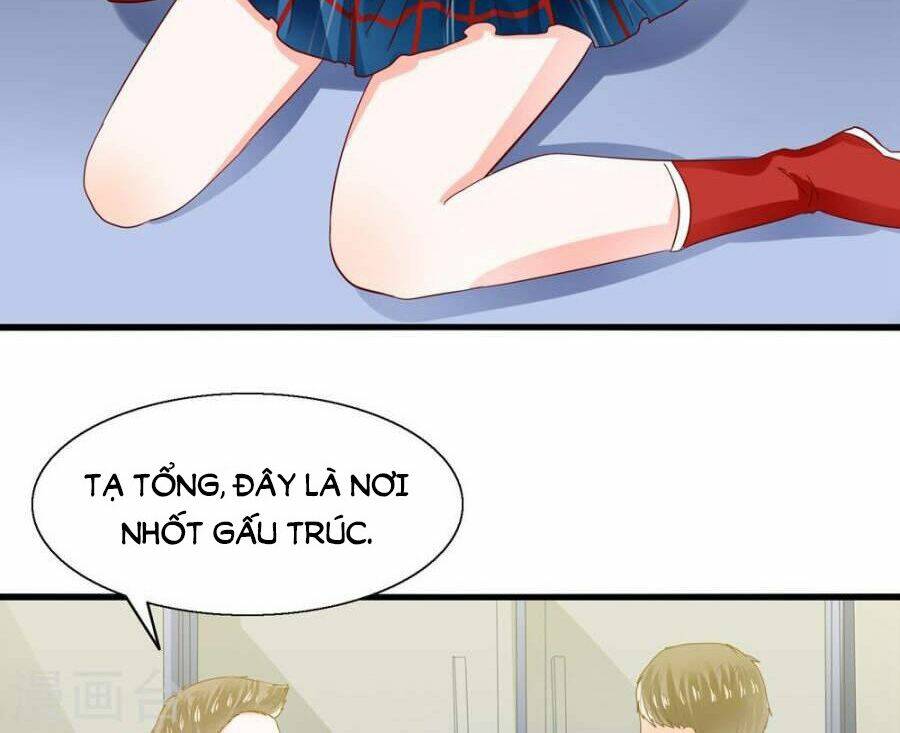 Tôi Bị Gấu Trúc Nhìn Trúng Rồi: Chapter 5