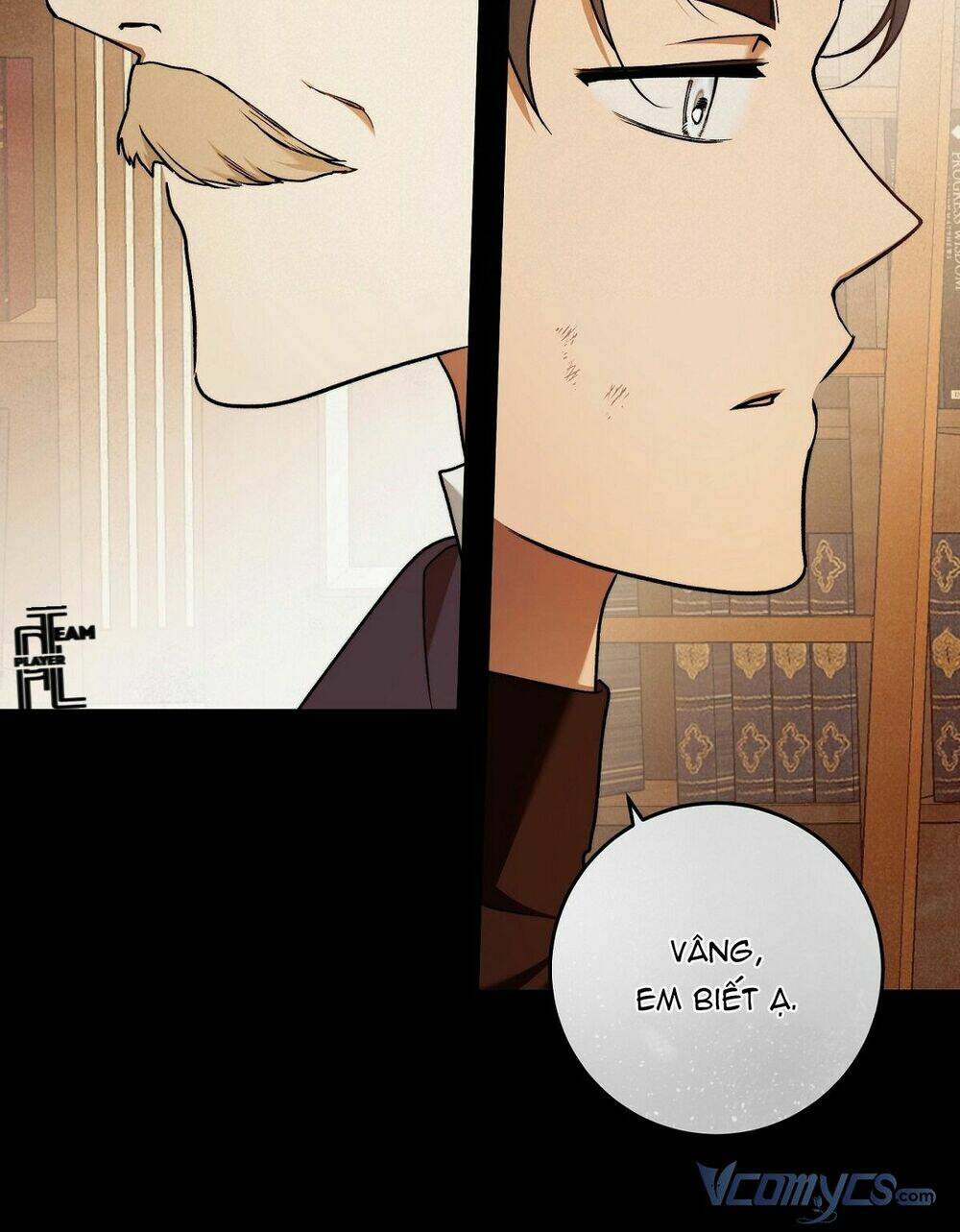 Lời Nói Dối Vĩnh Cửu: Chapter 29