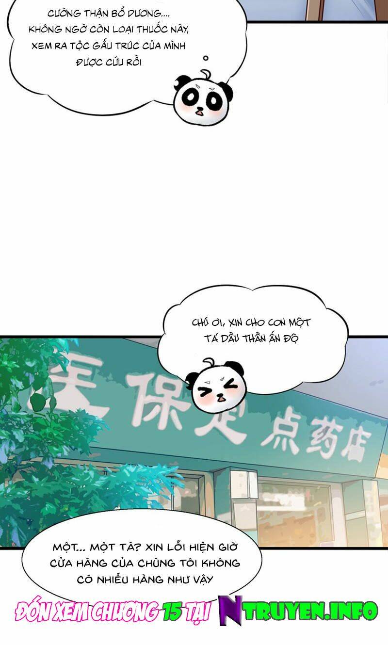 Tôi Bị Gấu Trúc Nhìn Trúng Rồi: Chapter 14