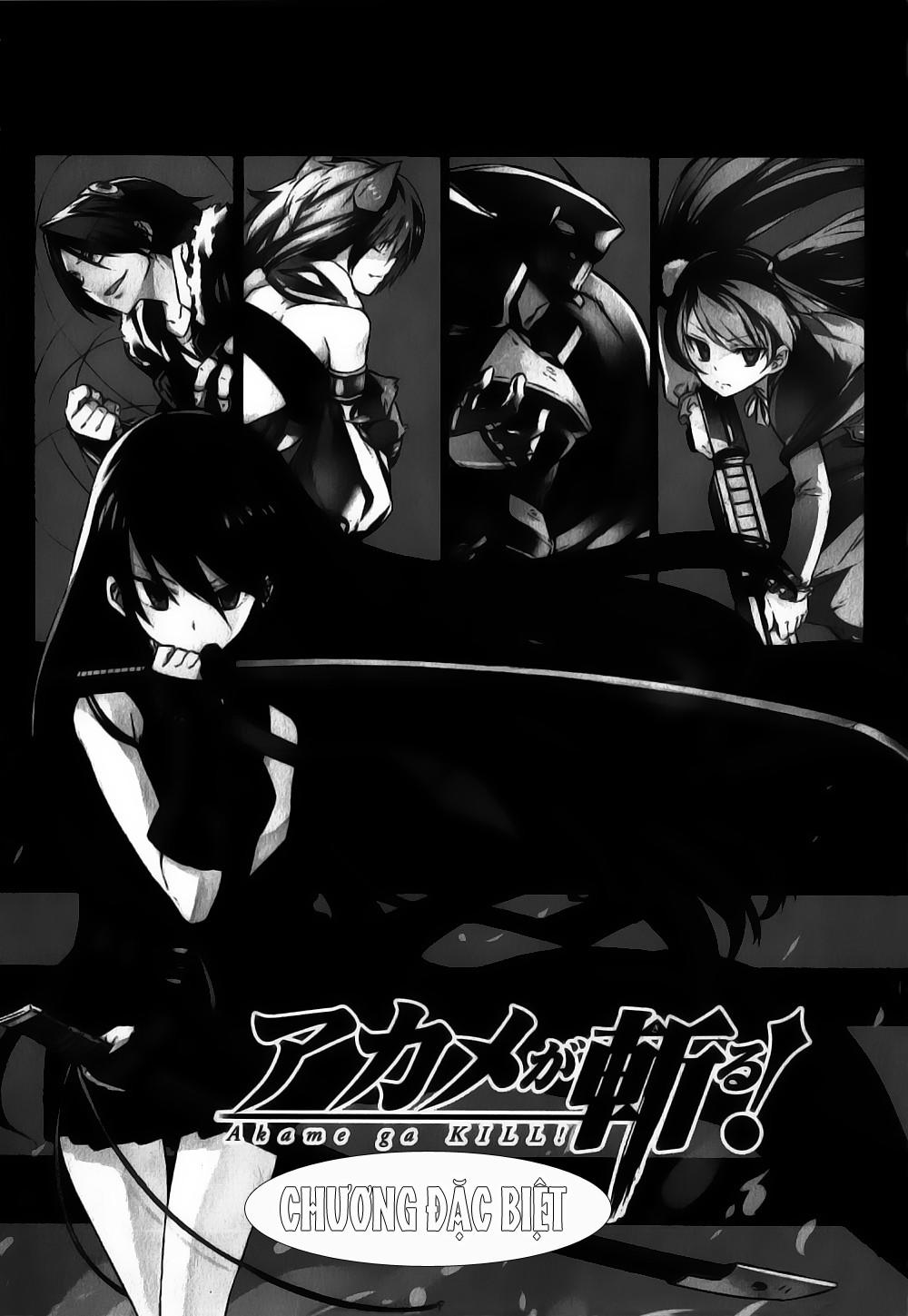 Akame Ga Kiru: Chapter 27.5