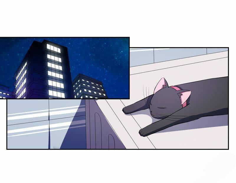 Miêu Vương Tại Thượng: Chapter 1