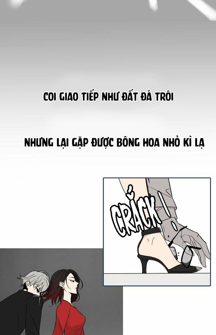 Lời Nói Dối Của Loài Sói: Chapter 1