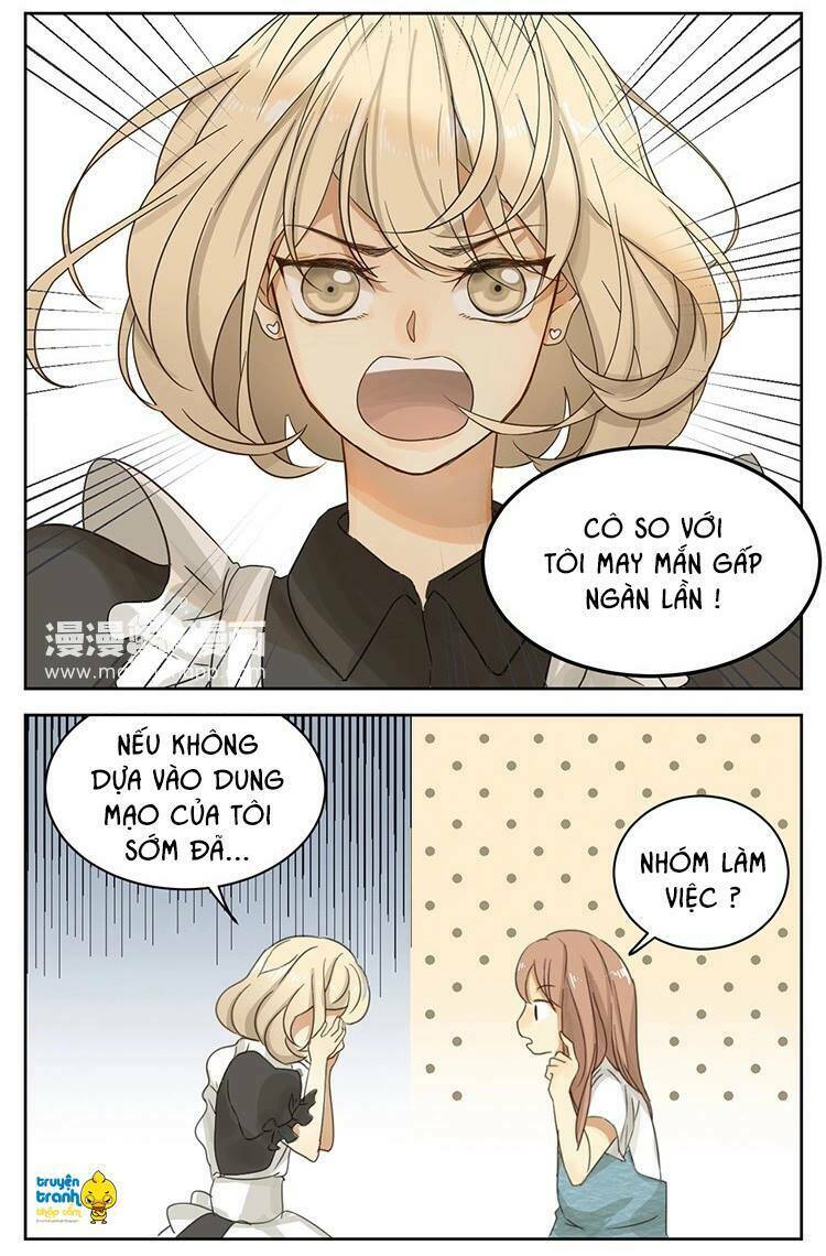 Cứu Mạng! Loài Mèo Thống Trị Thế Giới Rồi!: Chapter 12
