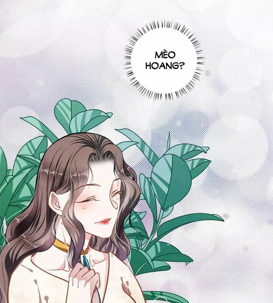 Cưng Chiều Ái Thê Hư Hỏng: Chapter 40