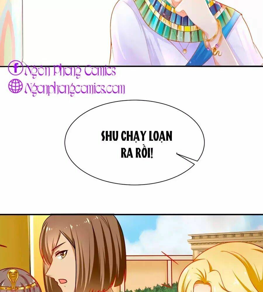 Sủng Hậu Của Vương: Chapter 1