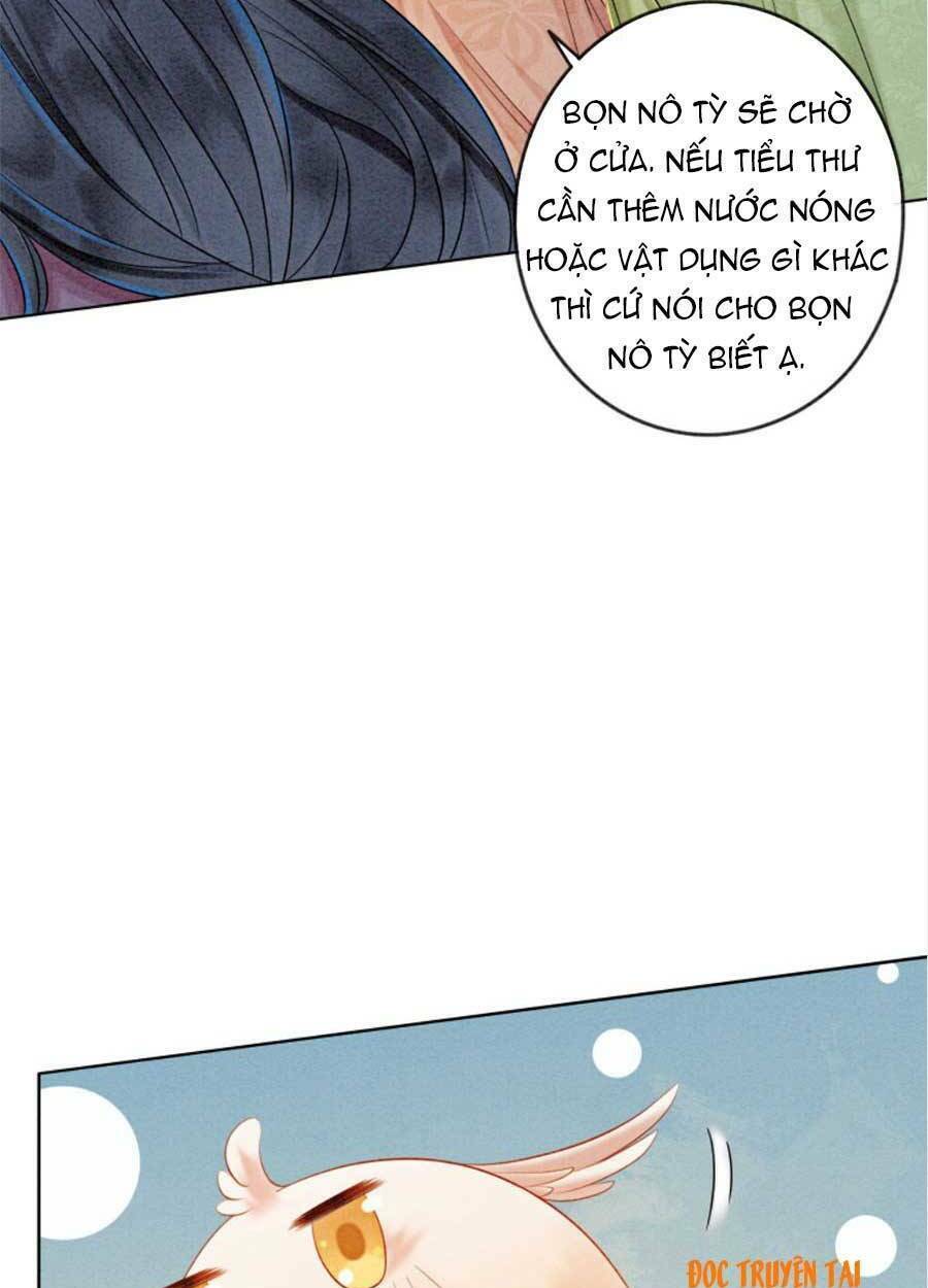 Bắt Đầu Hủy Hôn Để Công Lược Vương Gia: Chapter 26