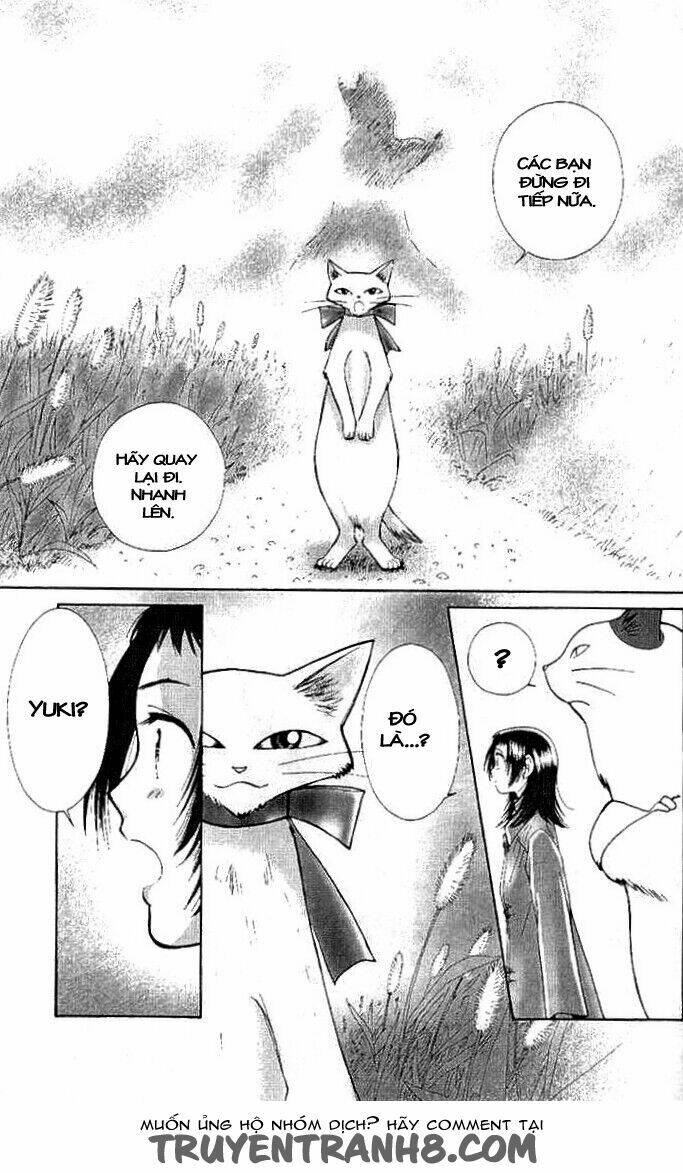 Lời Thì Thầm Từ Trái Tim: Chapter 8