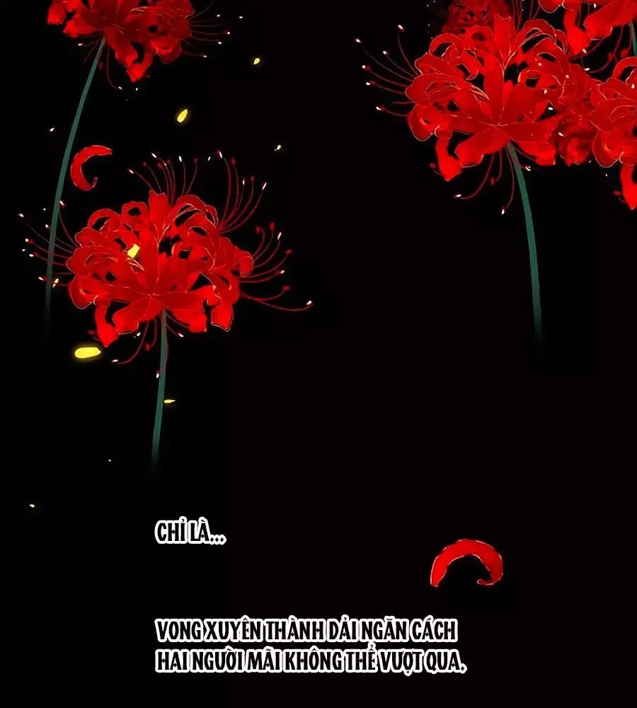 Hoa Chưa Nở Rộ: Chapter 20