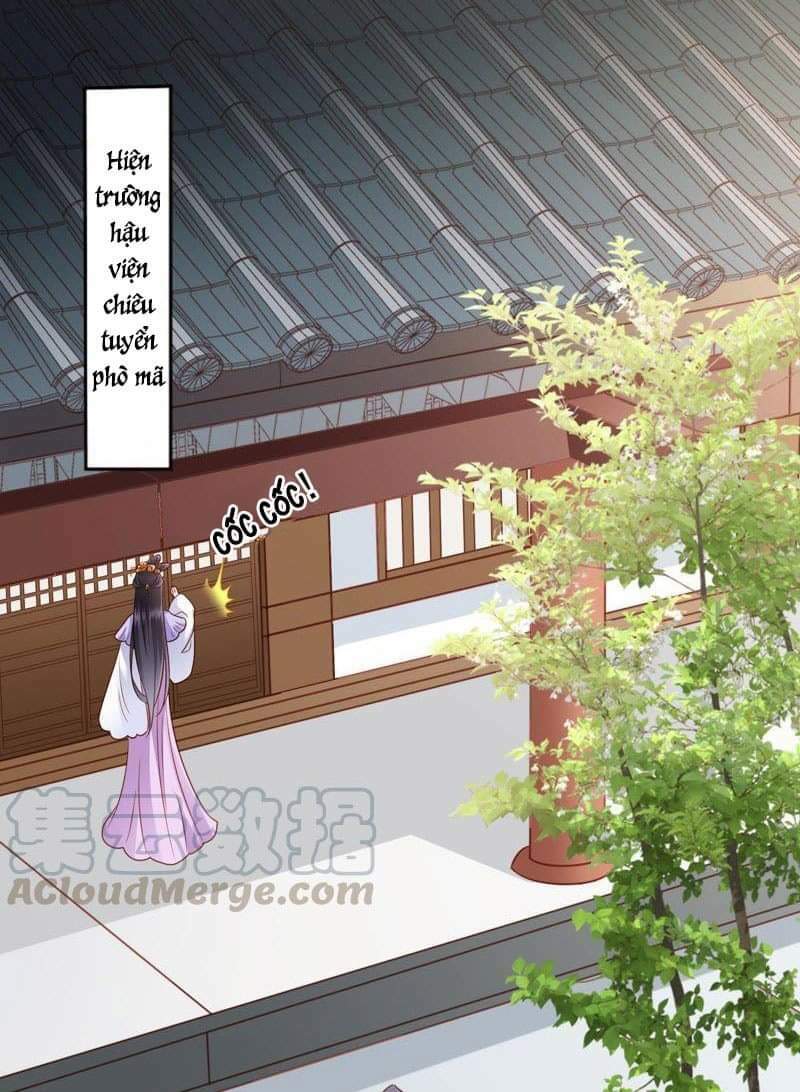 Thái Tử Điện Hạ Có Tin Vui: Chapter 60