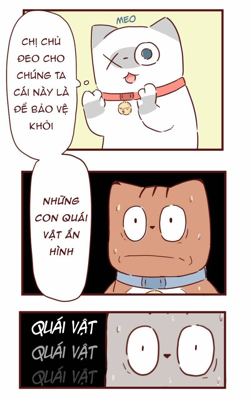 Saphie: Chú mèo một mắt: Chapter 28