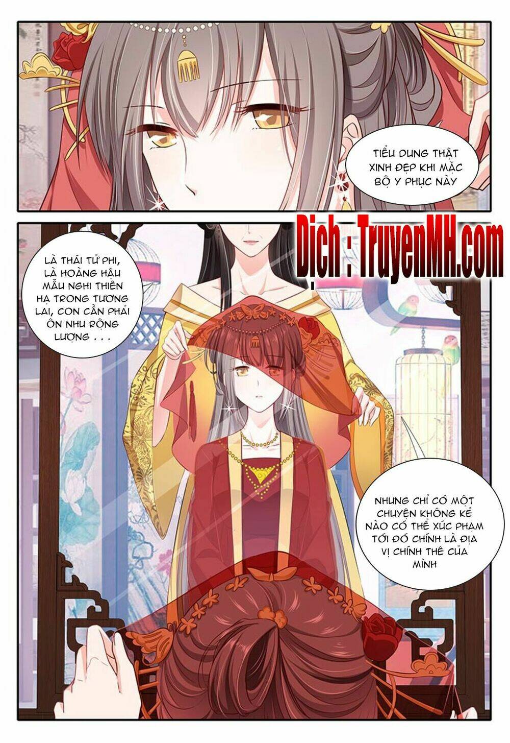 Thái Tử Phi Ở Hiện Đại: Chapter 43