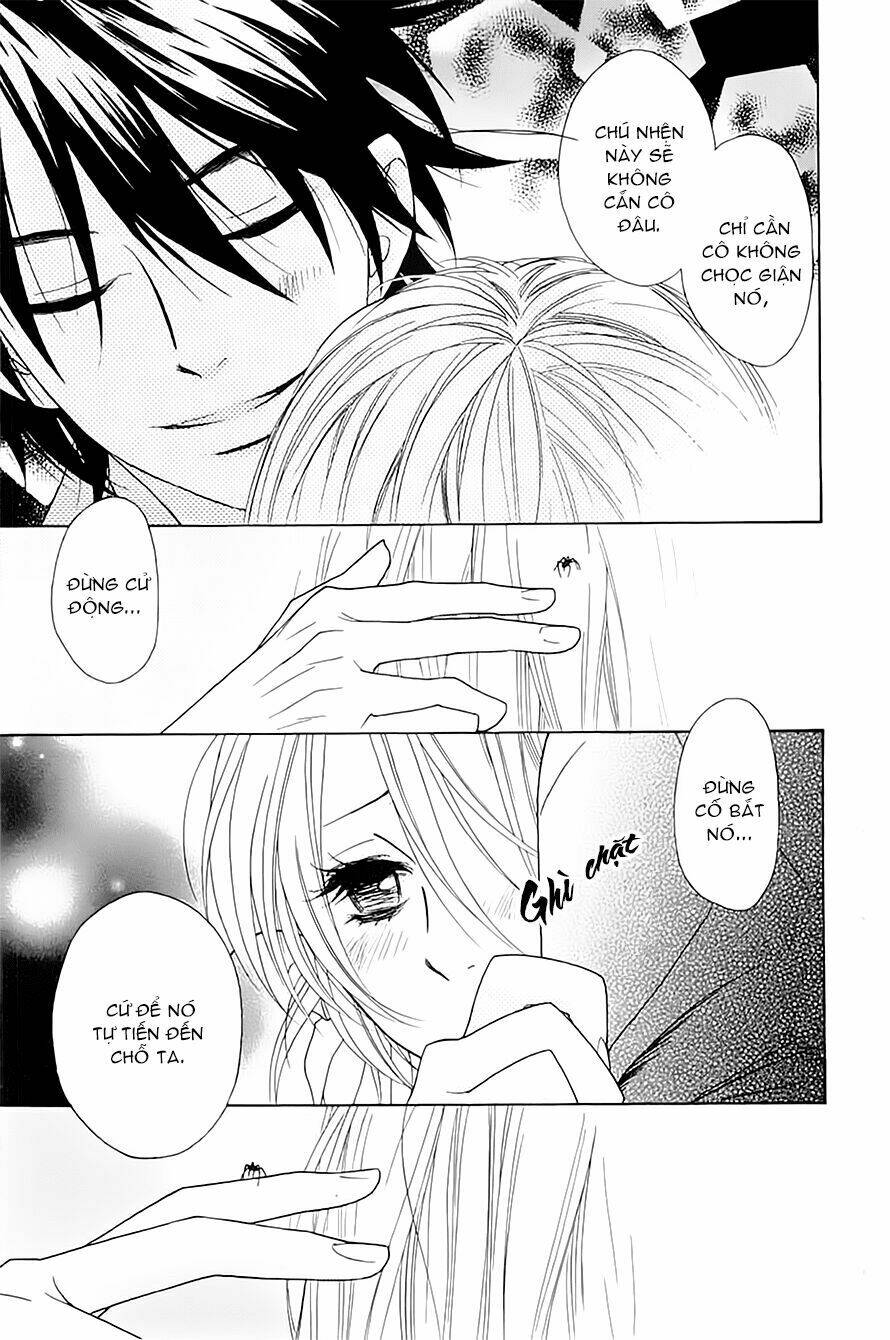 Shinobi Life: Chapter 5