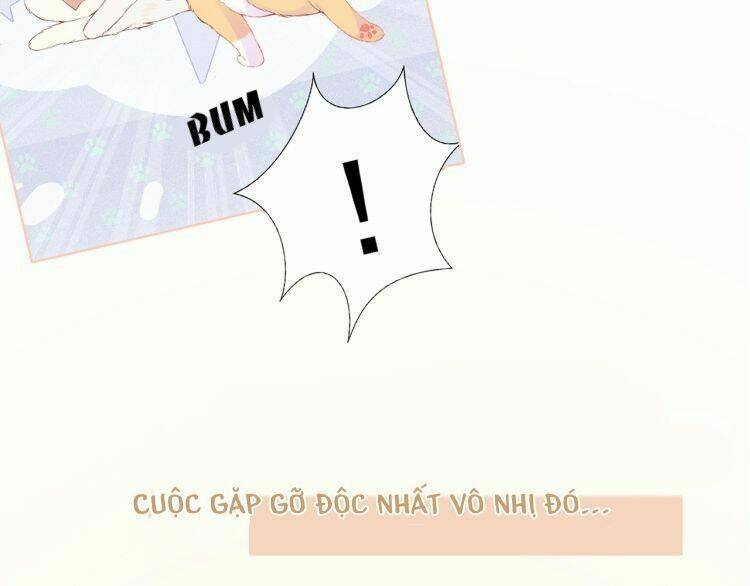 Bên Anh Mới Là Cả Thế Giới: Chapter 5