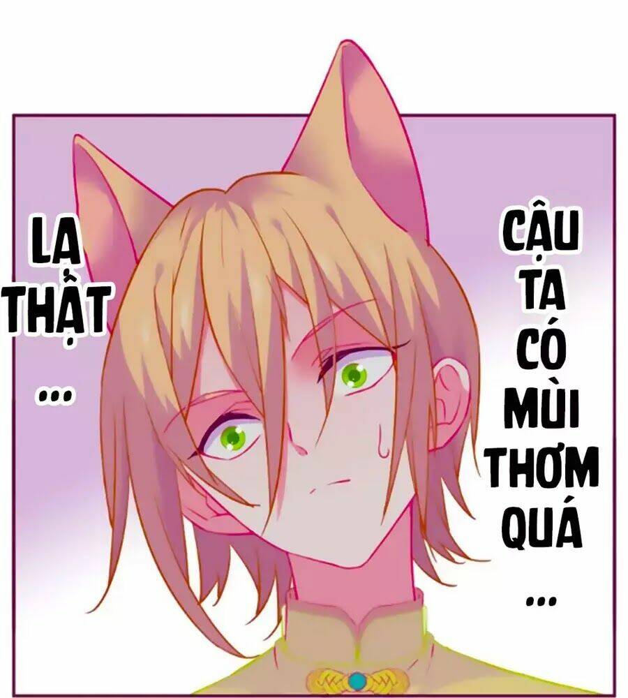 Đừng Nghịch, Ta Chỉ Muốn Yên Tĩnh: Chapter 63