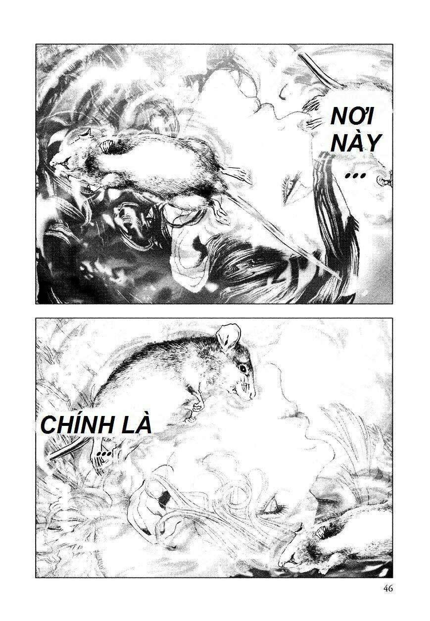 Innocent: Chapter 67