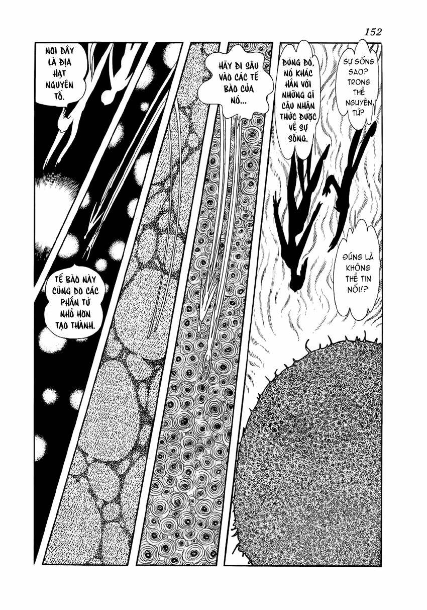 Chim Lửa: Chapter 24