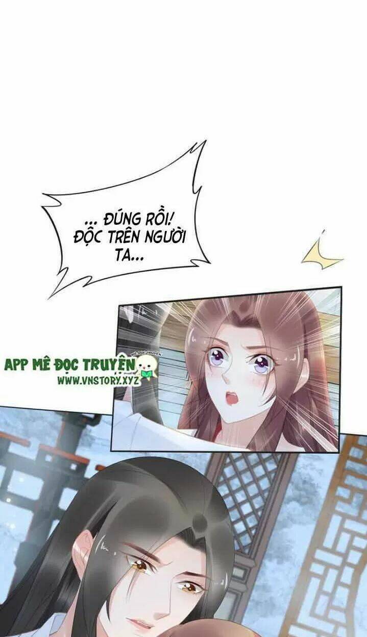 Nhất Sinh Nhất Thế Tiếu Thương Khung: Chapter 75