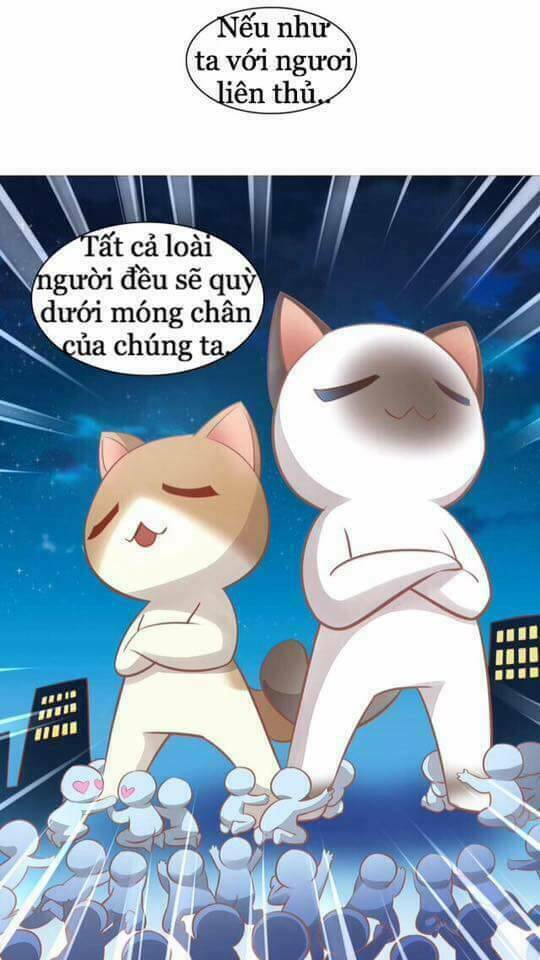 Dưới Móng Vuốt Mèo: Chapter 8