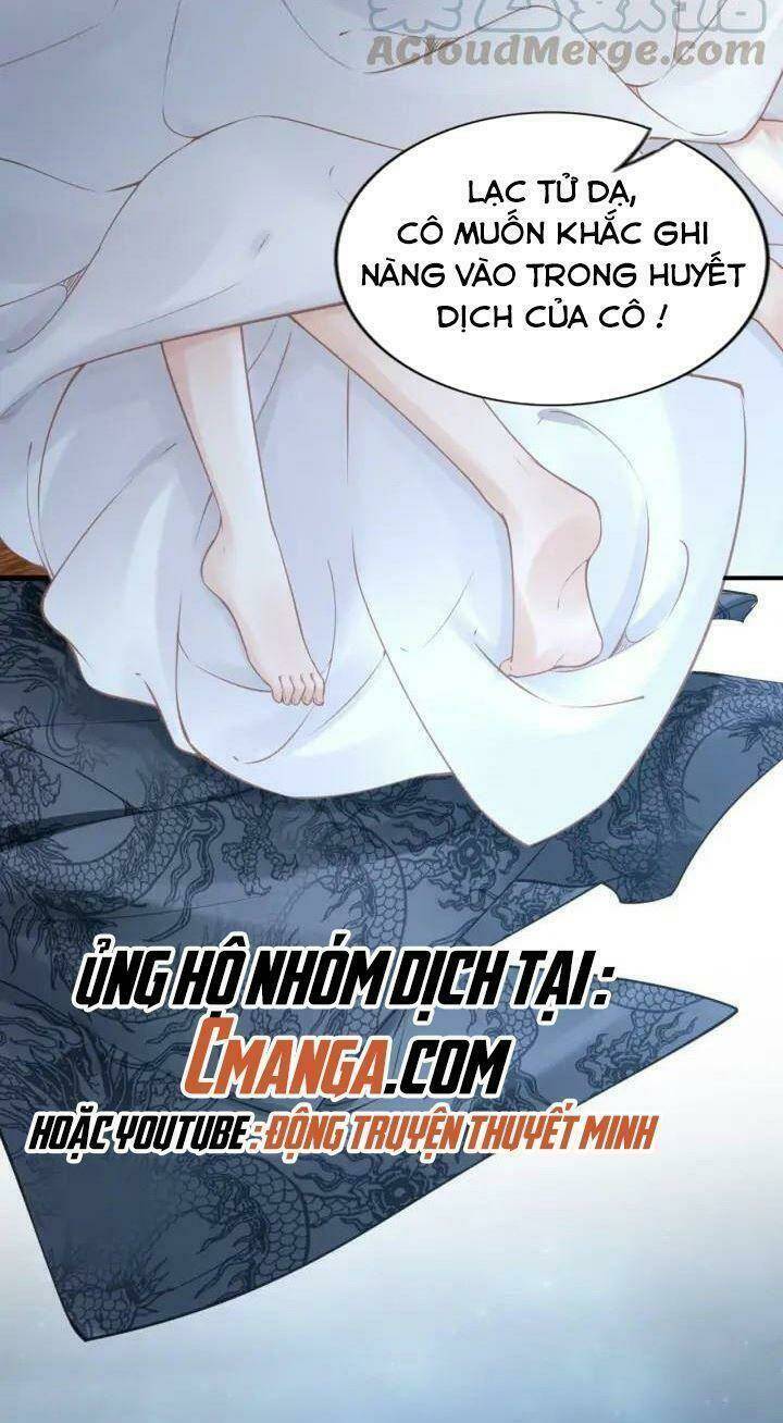 Nhất Sinh Nhất Thế Tiếu Thương Khung: Chapter 104