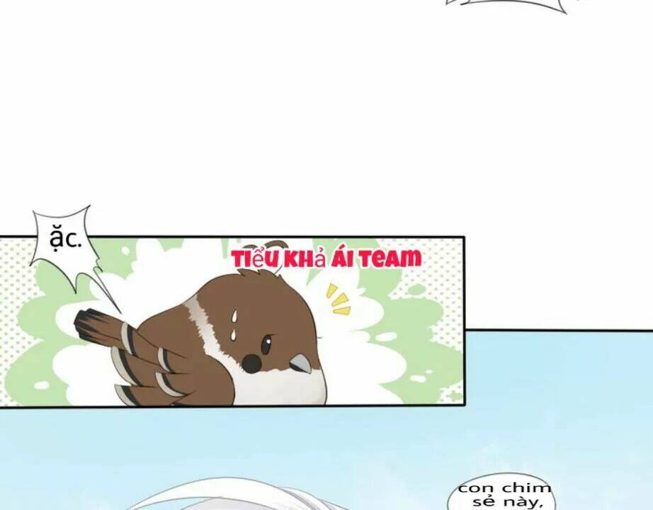 Tước Kiều Tiên: Chapter 2.2