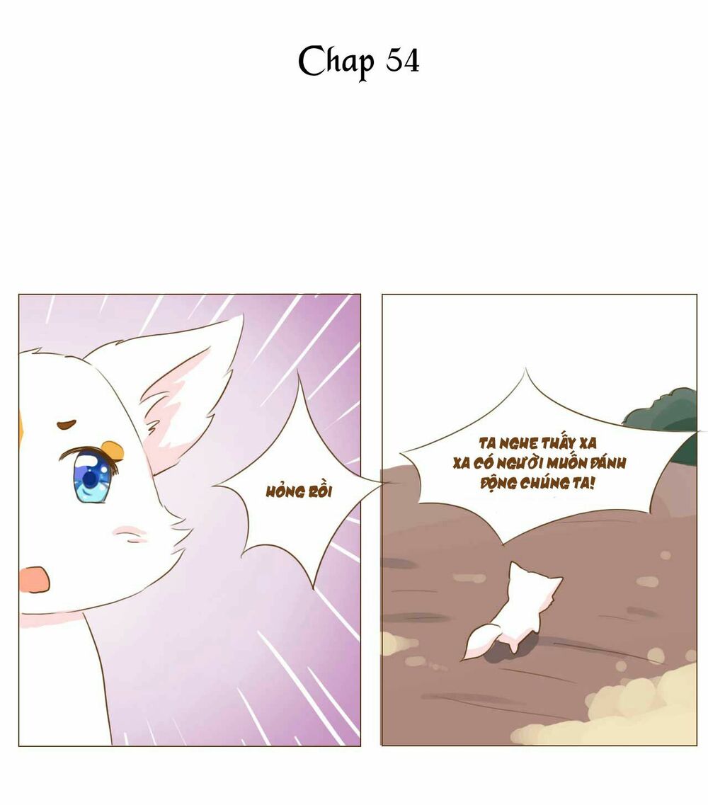 Mẫu Phi Đuôi Của Người Lộ Ra Rồi Kìa: Chapter 54